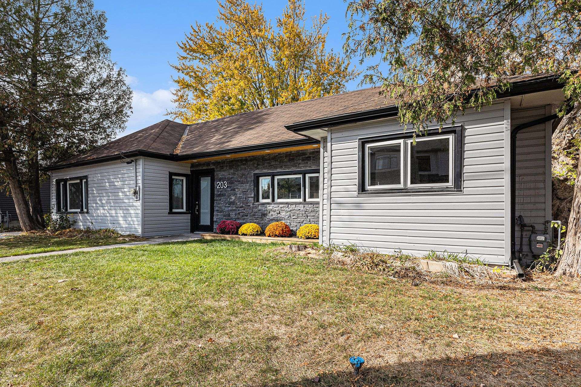 Mississippi Mills, ON K0A 1A0,203 Adelaide ST