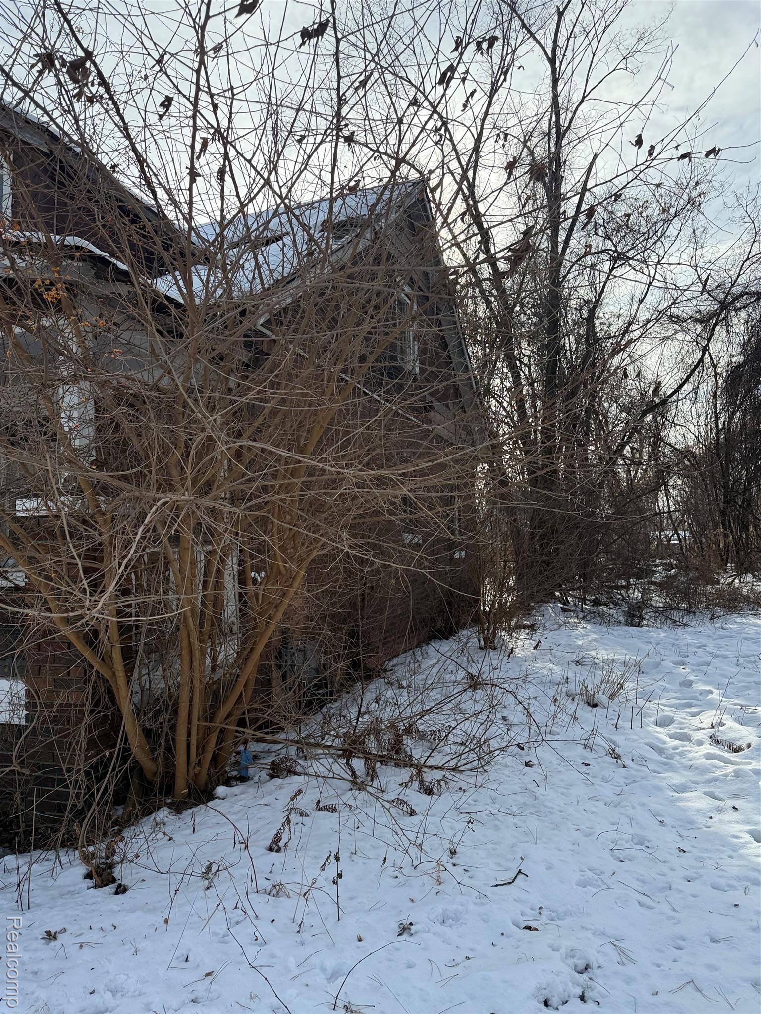 Detroit, MI 48238,8611 Chalfonte ST