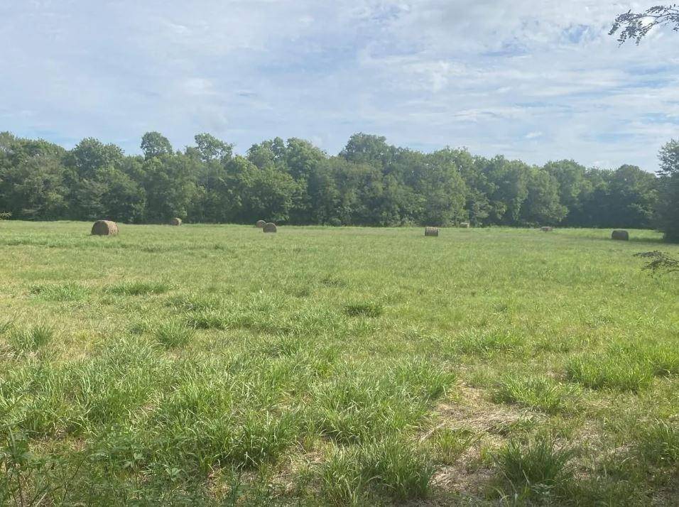 Deport, TX 75435,529 County Road 16060