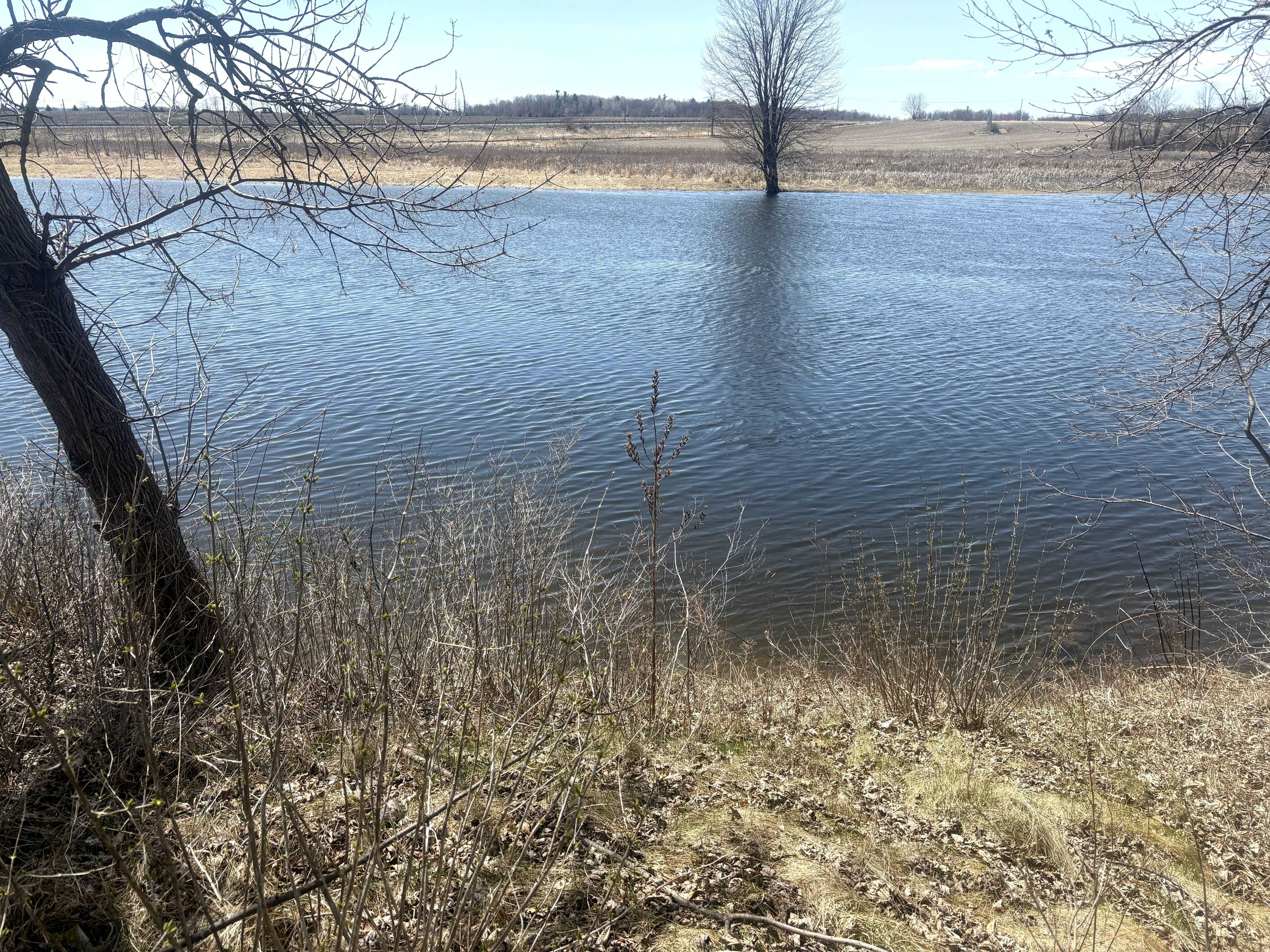 Carp - Dunrobin - Huntley - Fitzroy And Area, ON K7S 3G7,143 Gypsy LN