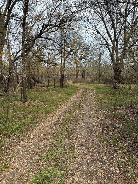 Oakwood, TX 75855,TBD CR 280