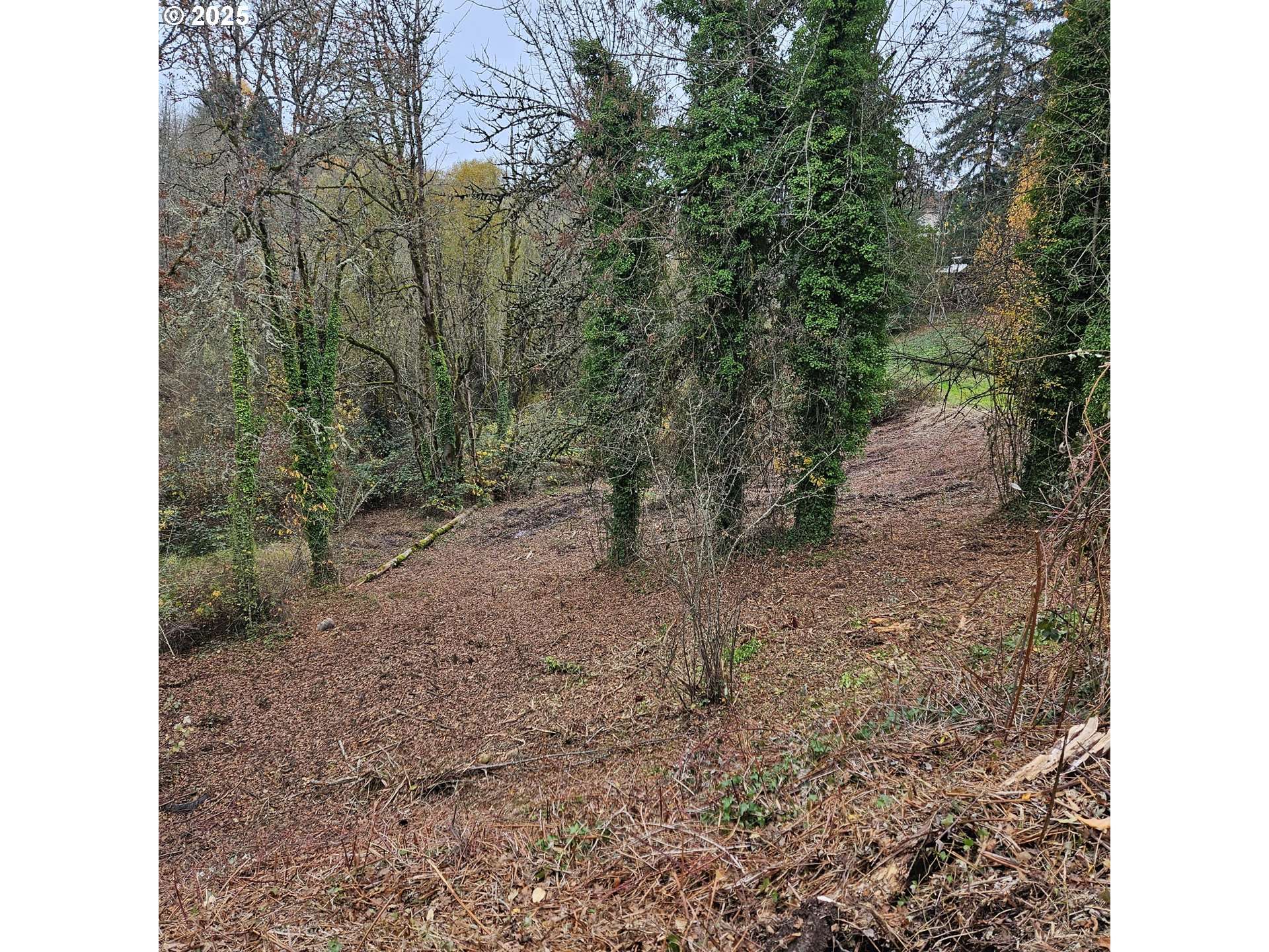 Dayton, OR 97114,706 Elizabeth CT