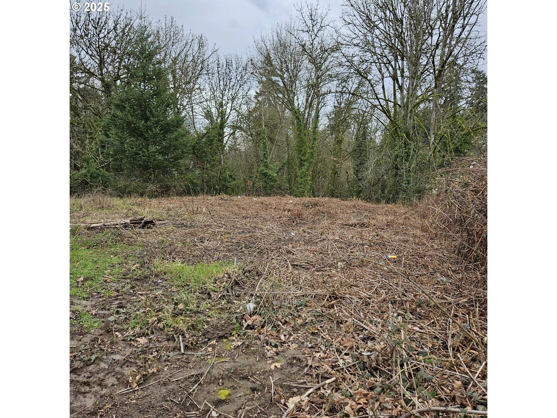 Newberg, OR 97132,3rd ST #2