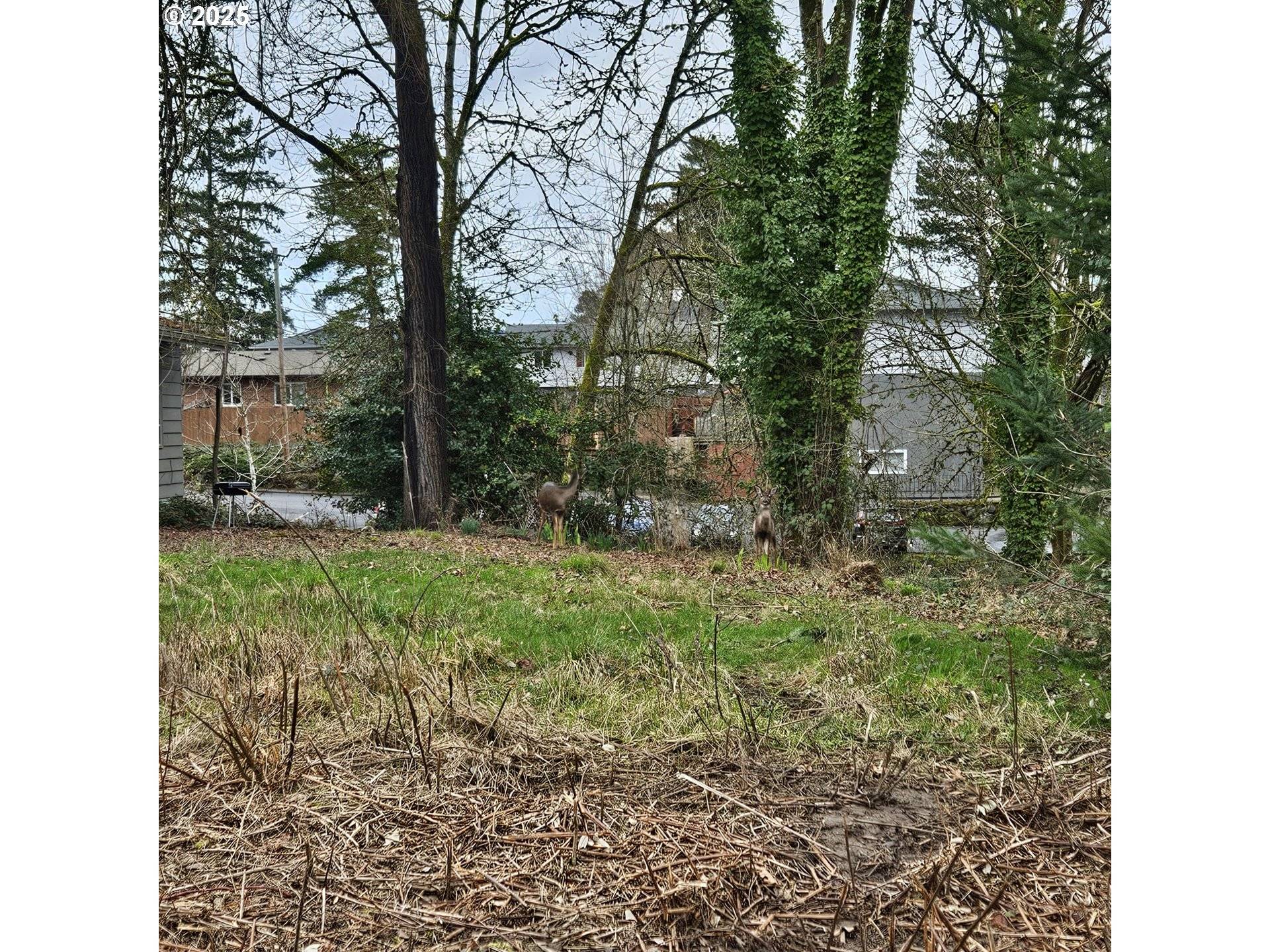 Newberg, OR 97132,3rd ST #2