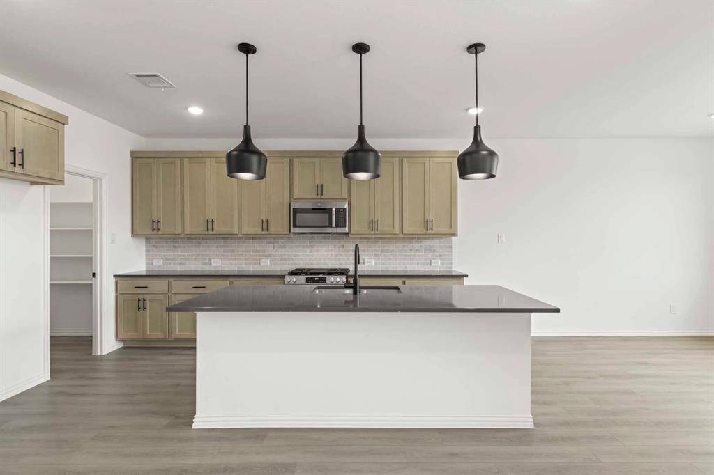 Anna, TX 75409,725 Waterhouse Lake Drive