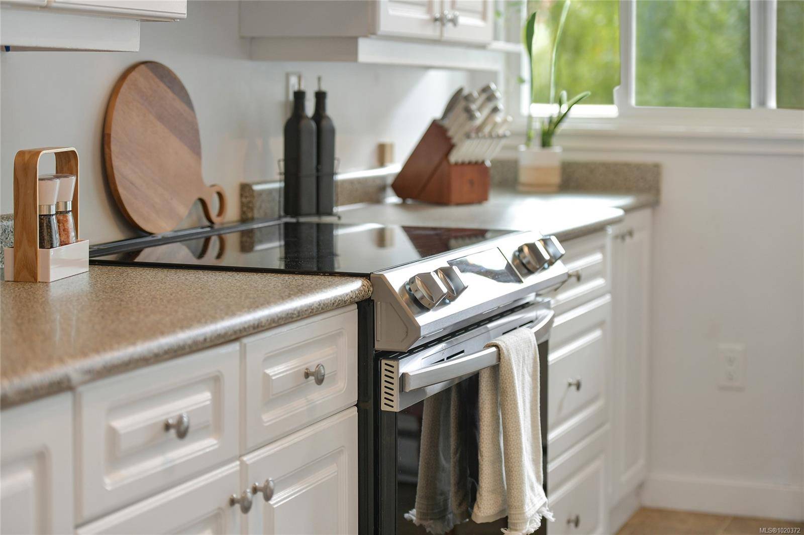 Victoria, BC V8T 2B5,1366 Hillside Ave #301