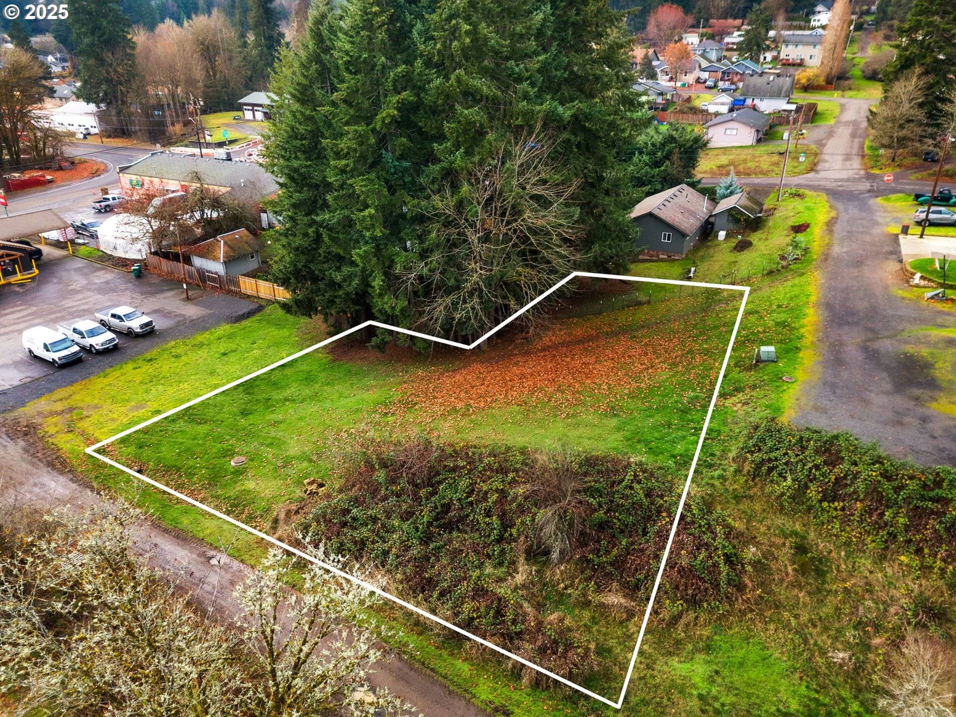 Vernonia, OR 97064,23352 Adj. to Columbia ST