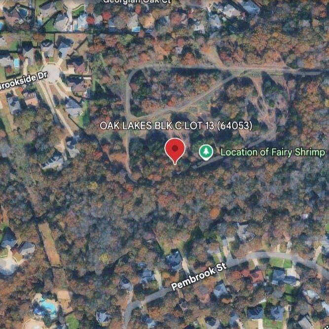 Lake Dallas, TX 75065,TBD Briarwood