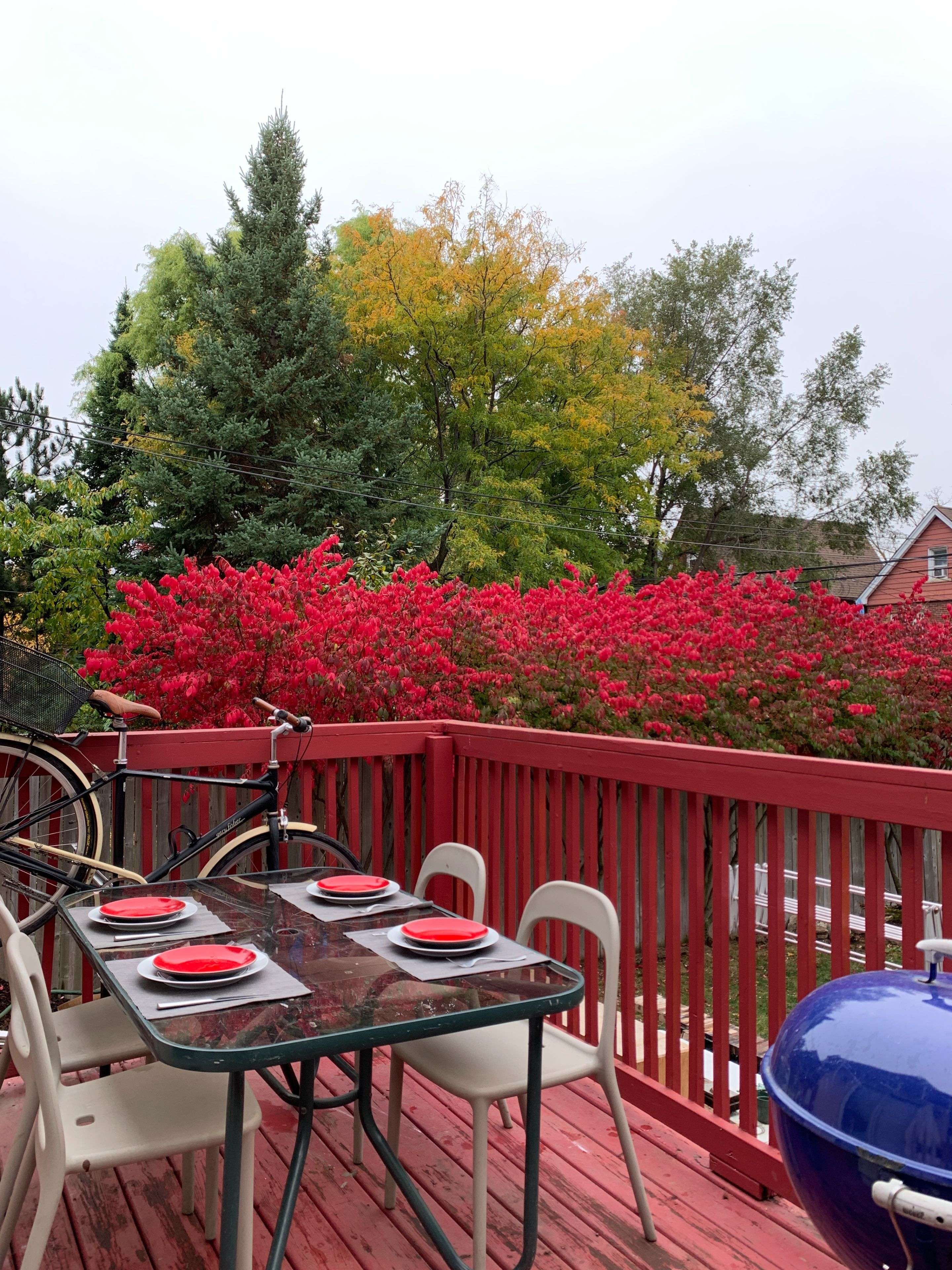 Toronto W02, ON M6P 2K4,280 Keele Street N/A ##1