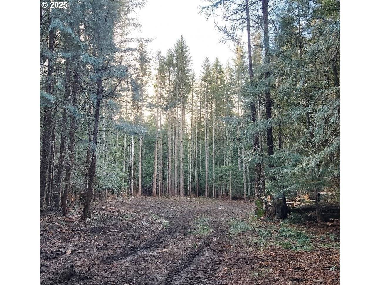 Government Camp, OR 97028,37030 E GOMES LN