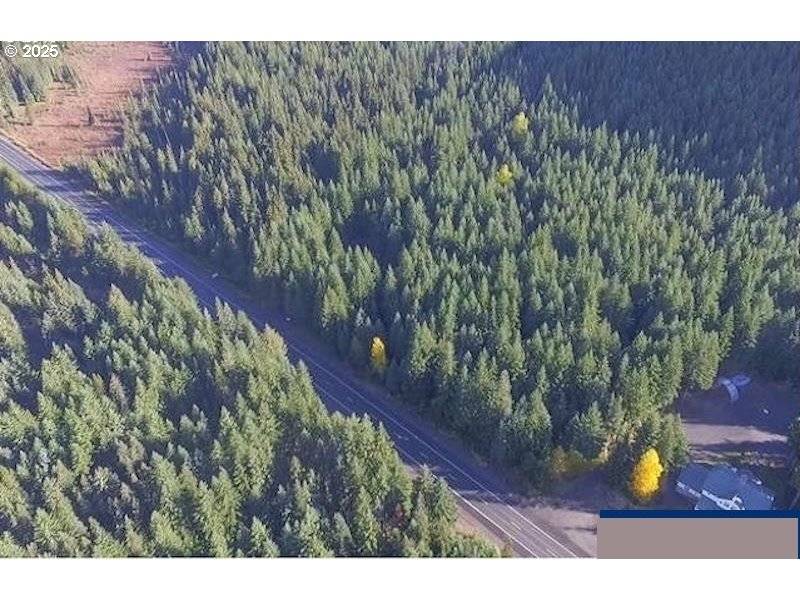 Government Camp, OR 97028,37030 E GOMES LN