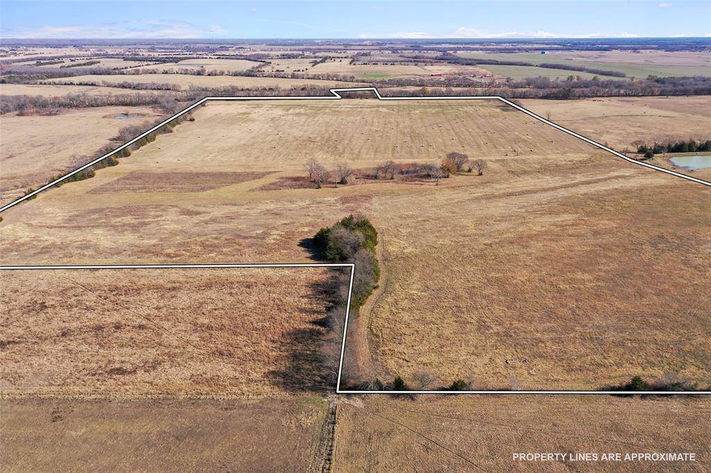 Blossom, TX 75416,0000 FM 13200