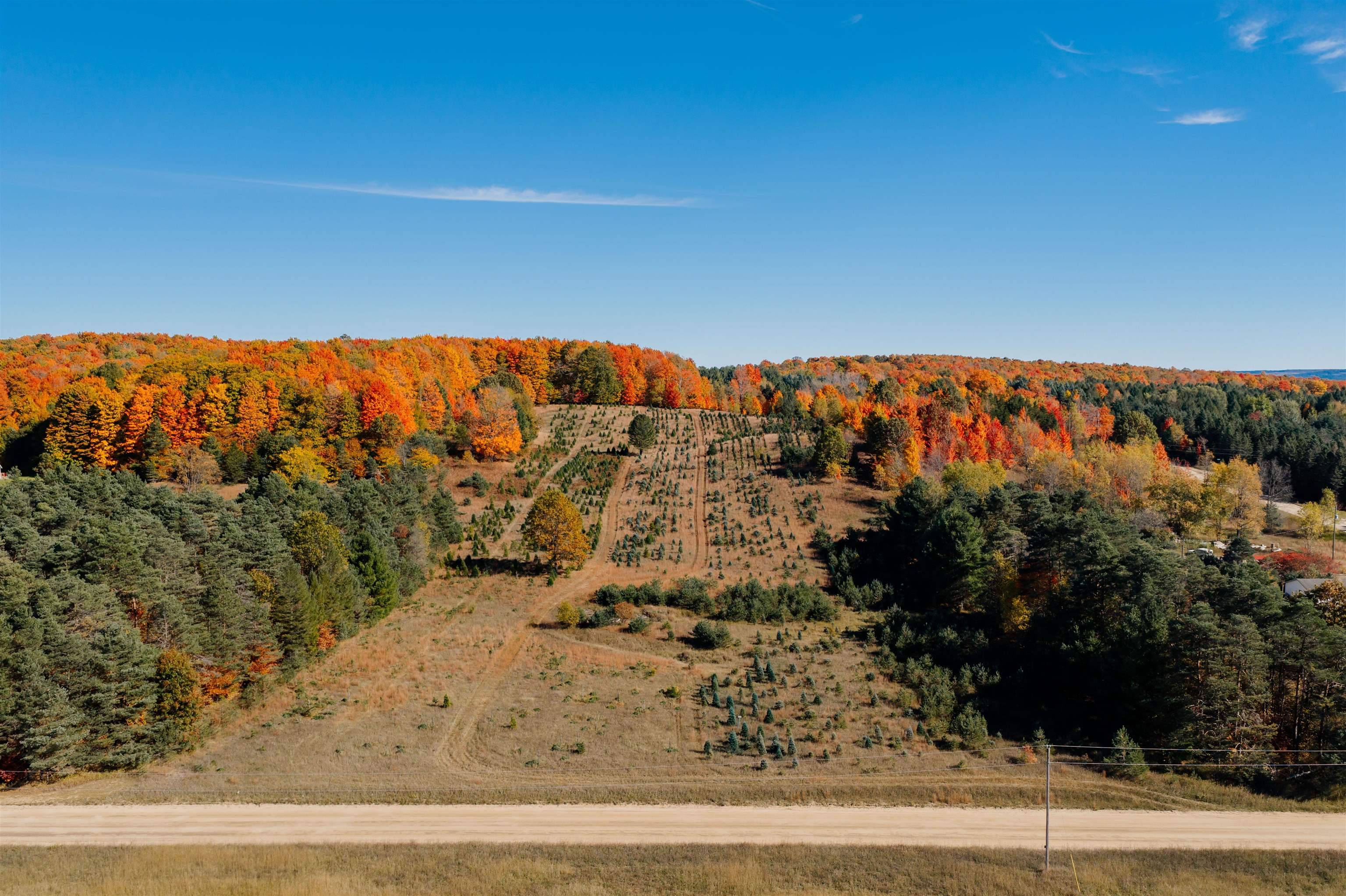 Fife Lake, MI 49633,00 SW Sperry RD