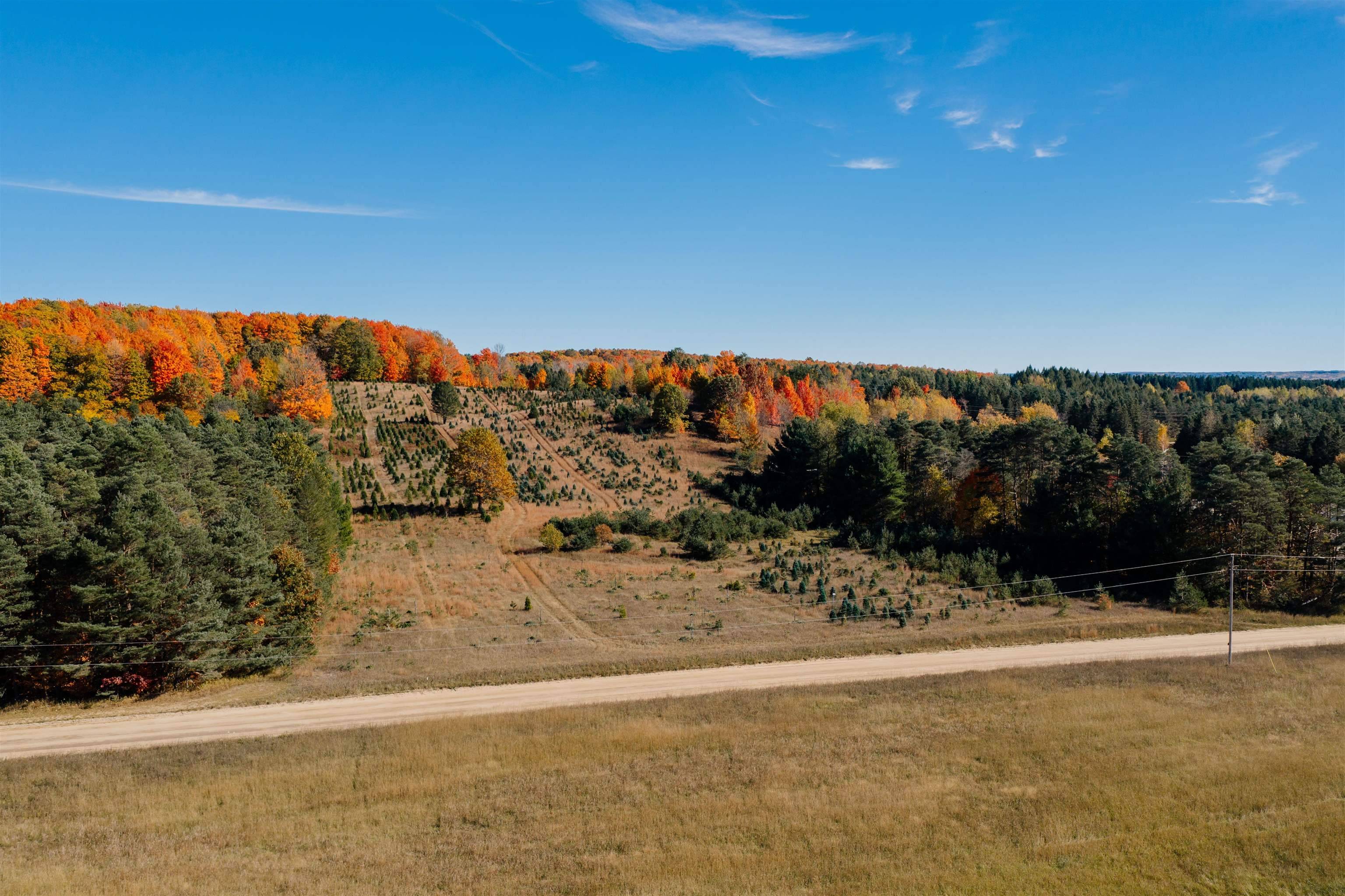 Fife Lake, MI 49633,00 SW Sperry RD