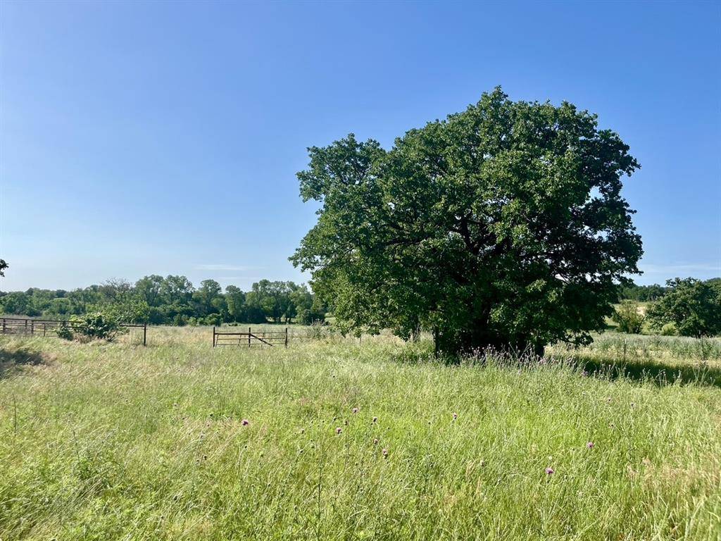 Poolville, TX 76487,Lot 55 & 56 KILKENNY Road