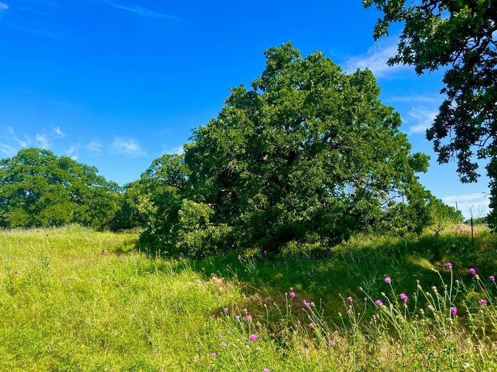 Poolville, TX 76487,Lot 55 & 56 KILKENNY Road