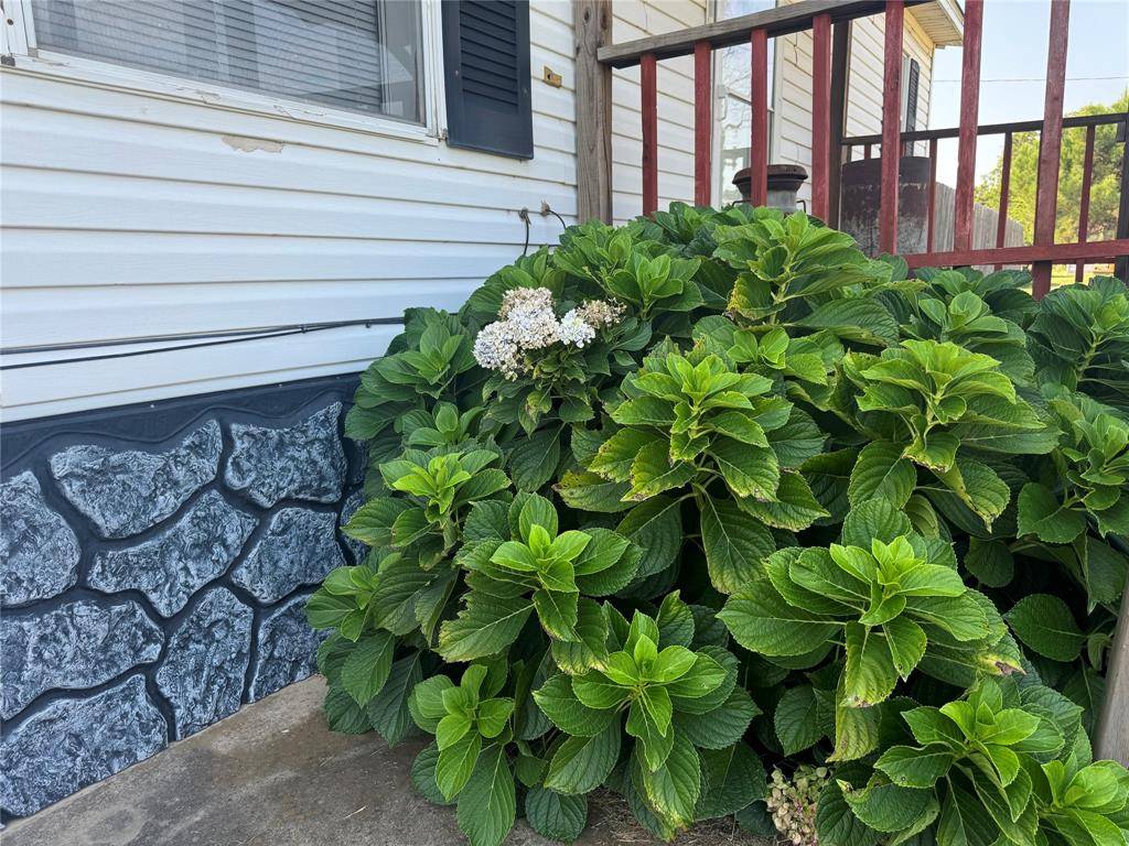 Ranger, TX 76470,1301 Spring Road