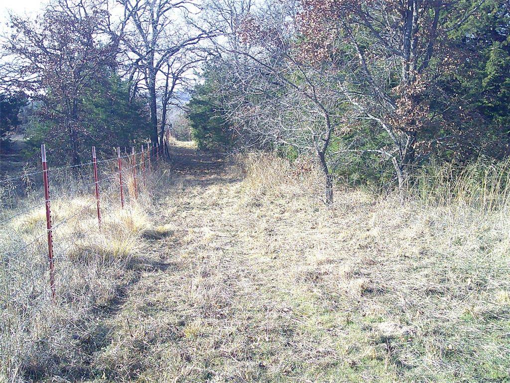 Saint Jo, TX 76265,LT 1,2,3 Starr Mann