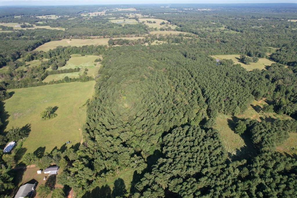 Long Branch, TX 75669,TBD County Road 168-1