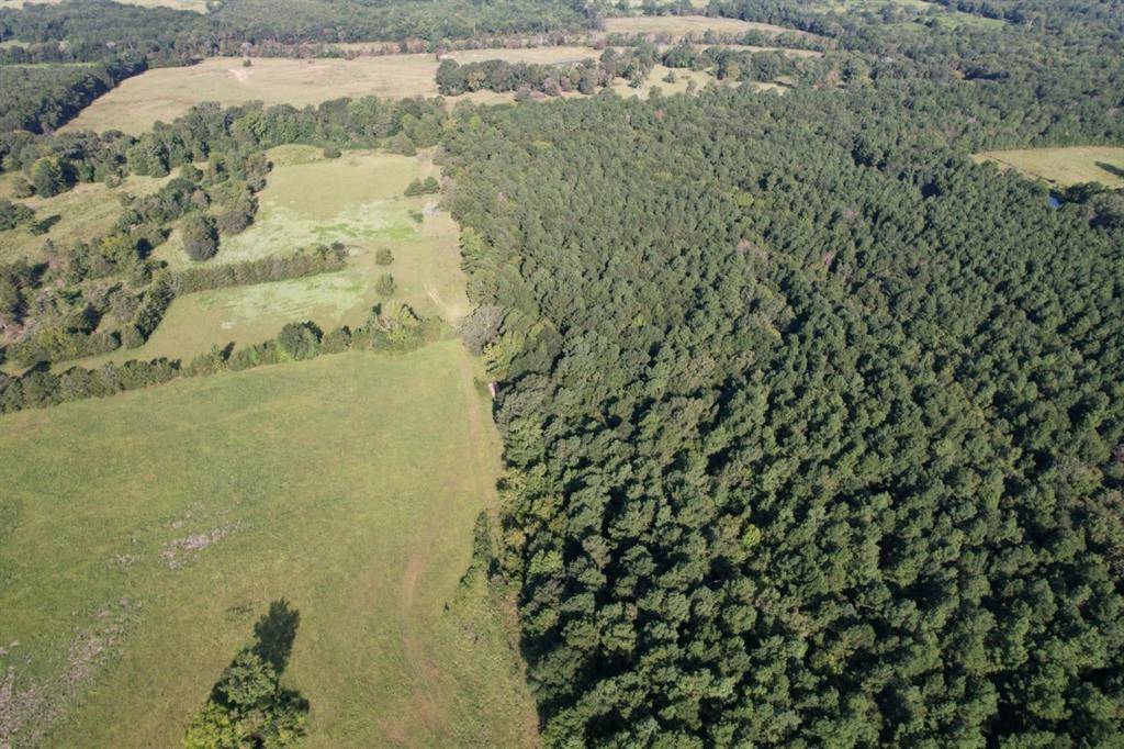 TBD County Road 168-1, Long Branch, TX 75669