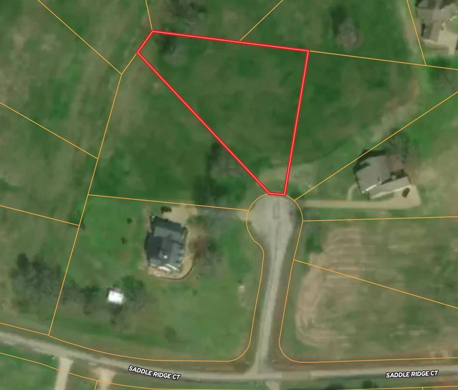 Athens, TX 75752,TBD Pine View Court