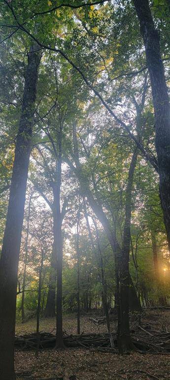 Carthage, TX 75633,TBD-1 FM 2517