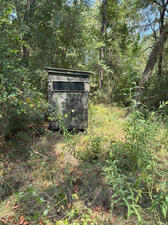 Carthage, TX 75633,TBD-1 FM 2517