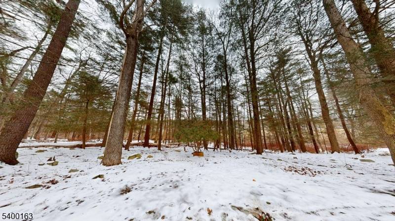 Montague Twp., NJ 07827,605-B Sleepy Hollow Road #B