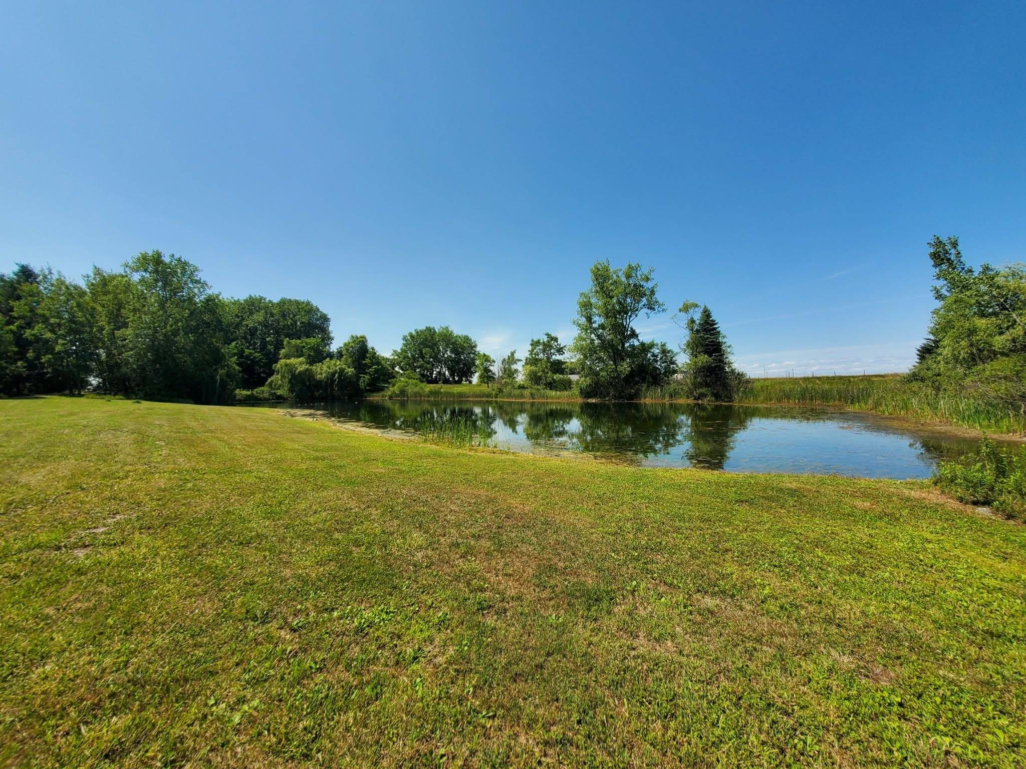 Wheeler, MI 48662,N Ransom RD