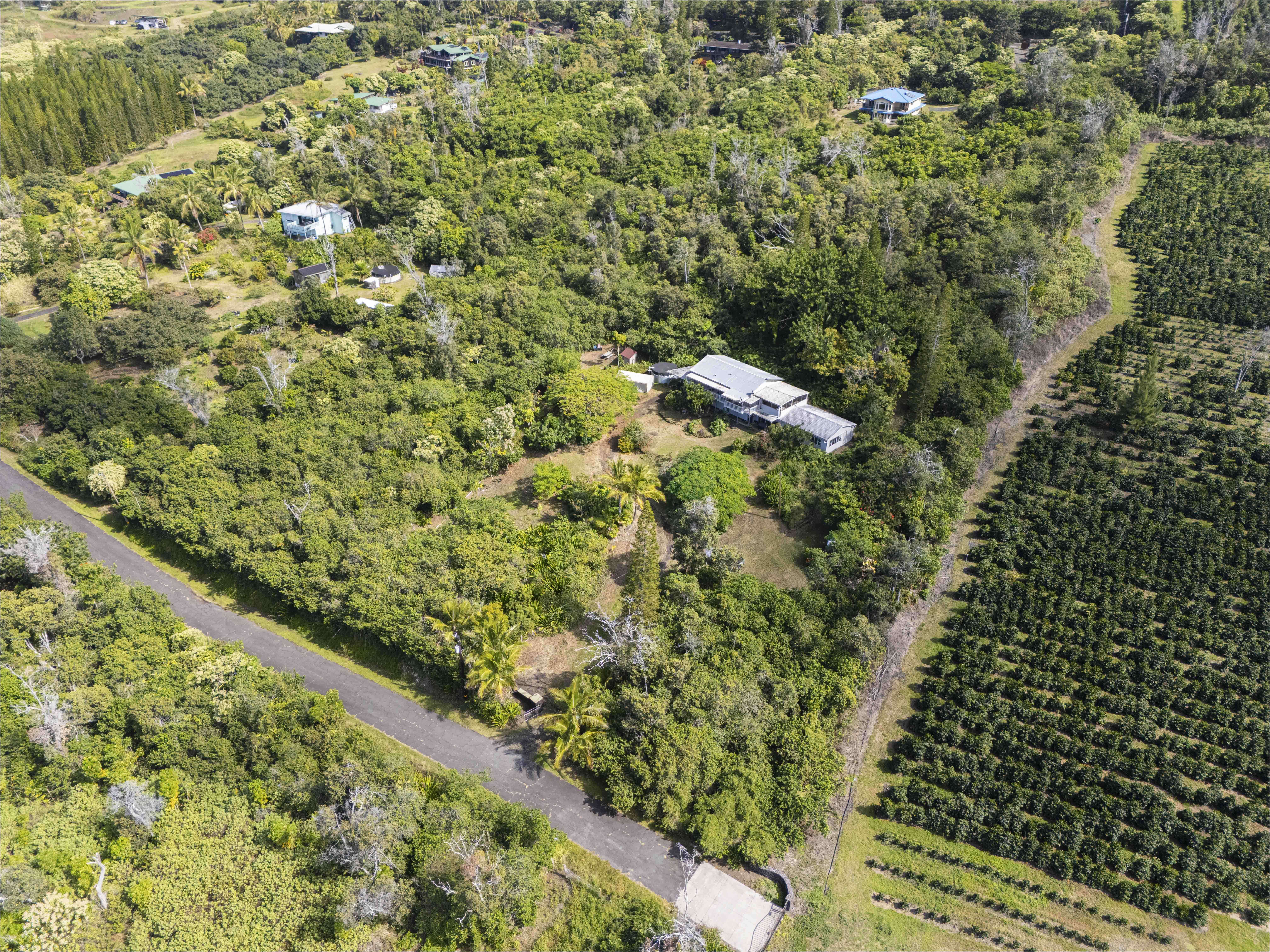 Captain Cook, HI 96704,88-1584 PAPIO DR