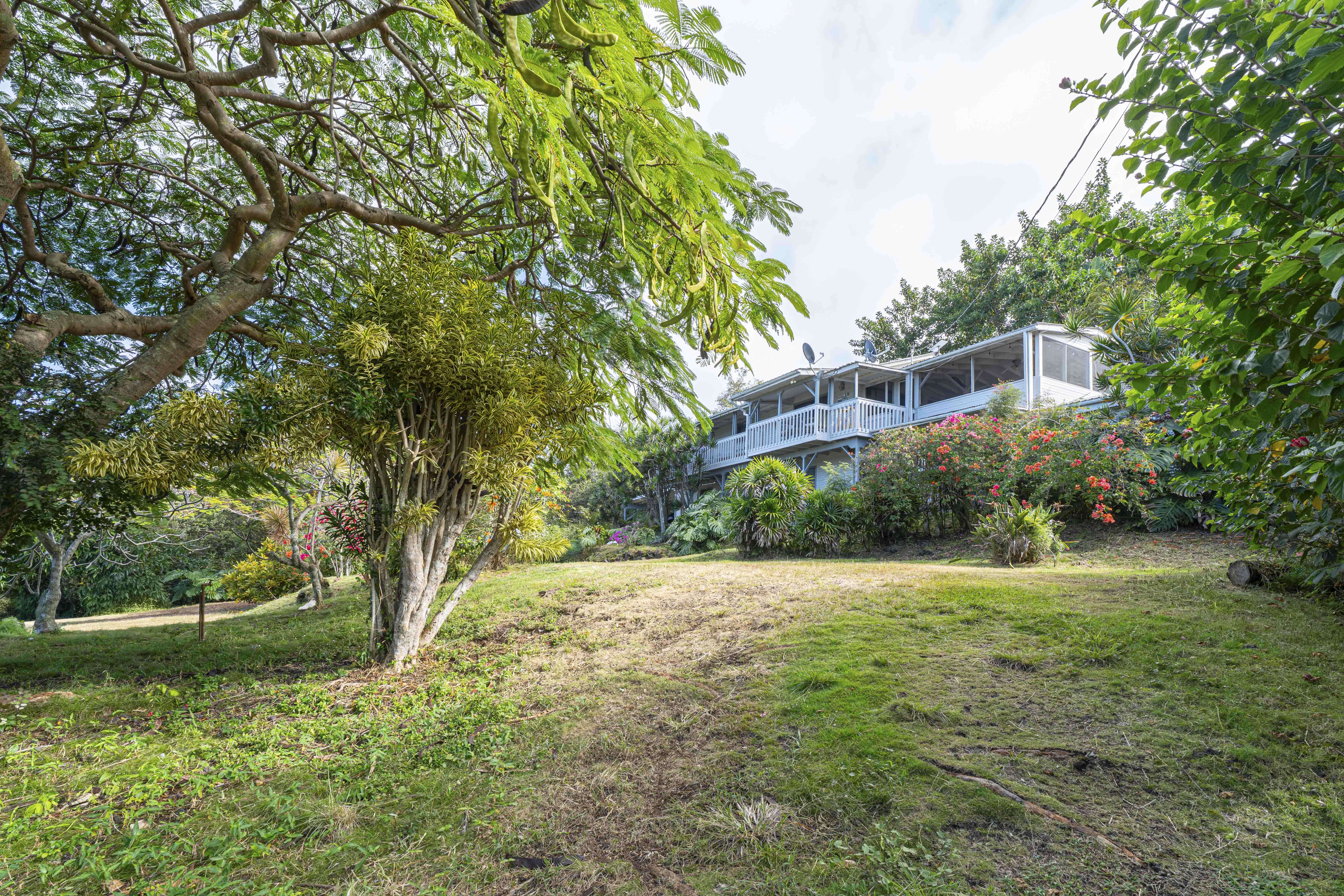 Captain Cook, HI 96704,88-1584 PAPIO DR