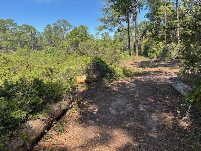 Deland, FL 32724,1400 12th Ave