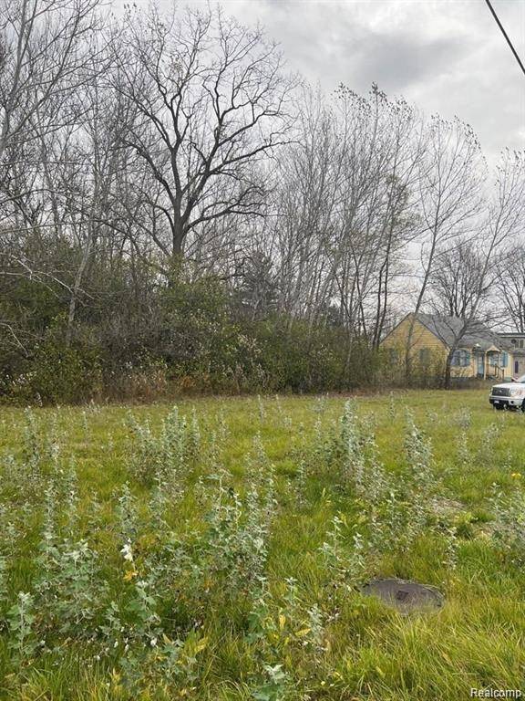 2105 WILLIAMSON RD, Bridgeport Twp, MI 48601