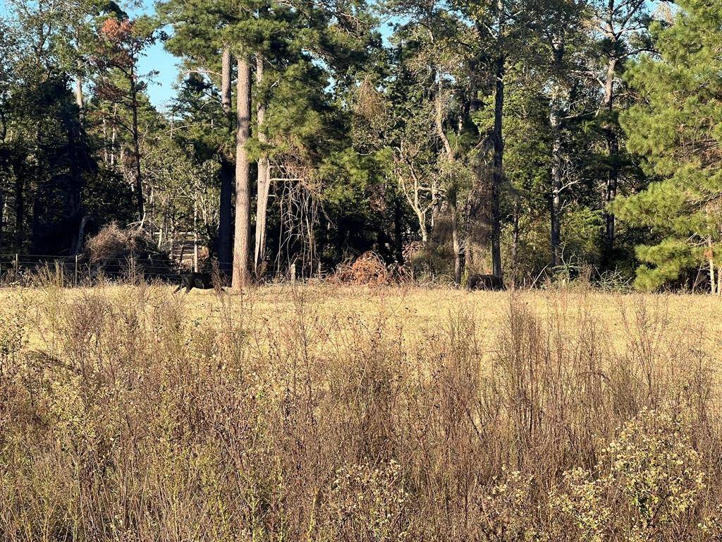 Centerville, TX 75833,tbd Pr 1315