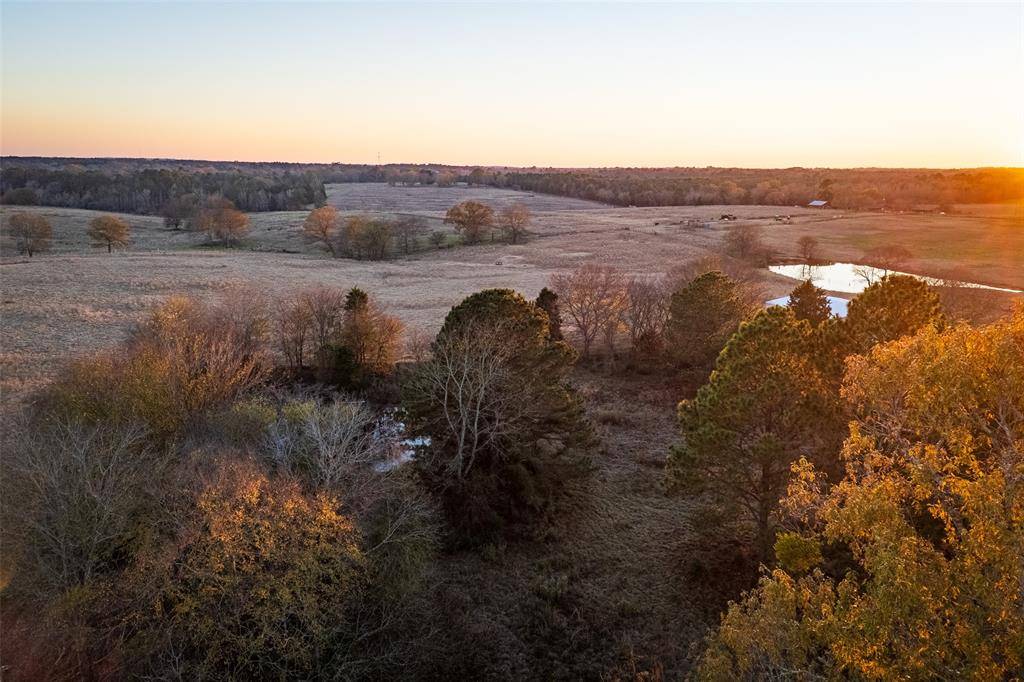 Henderson, TX 75652,000 County Road 234 D