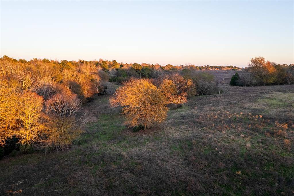 Henderson, TX 75652,000 County Road 234 D
