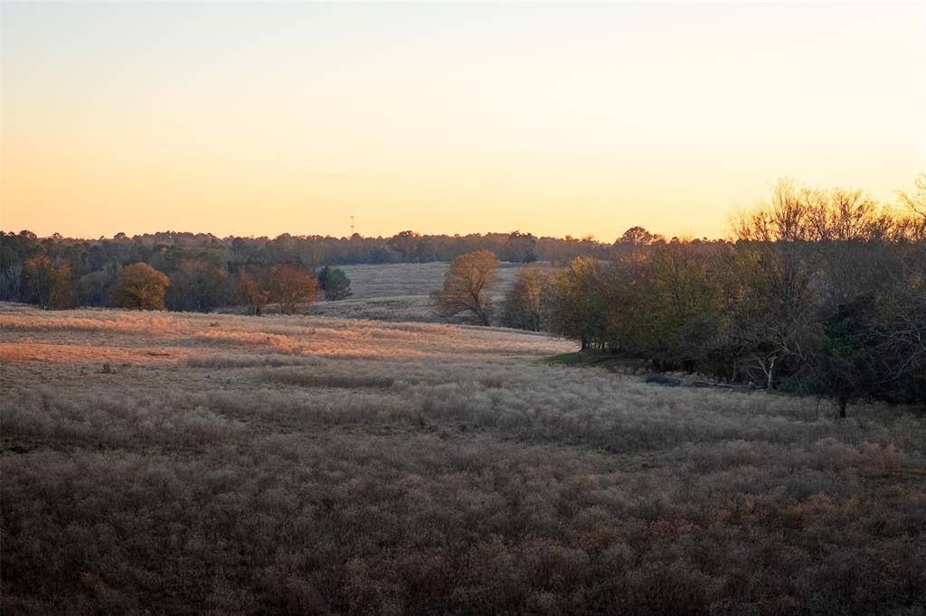 Henderson, TX 75652,000 County Road 234 D