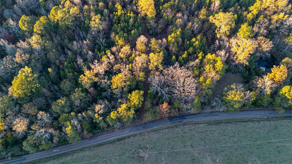 Garrison, TX 75946,4201 County Road 273