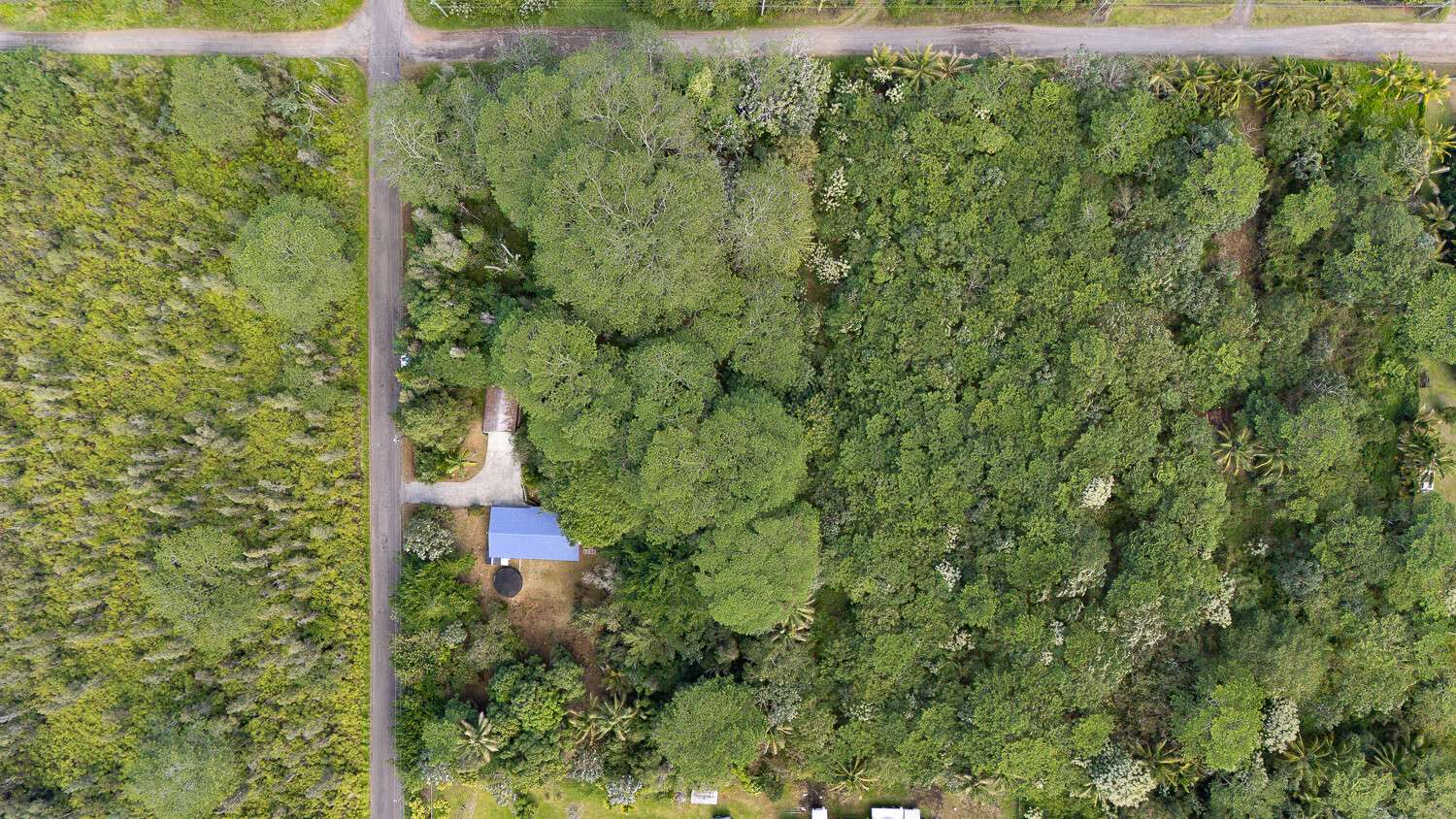 Keaau, HI 96749,16-185 AULII ST