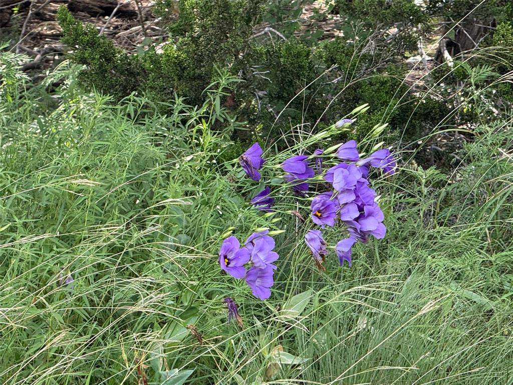 Meridian, TX 76665,TBD 4120