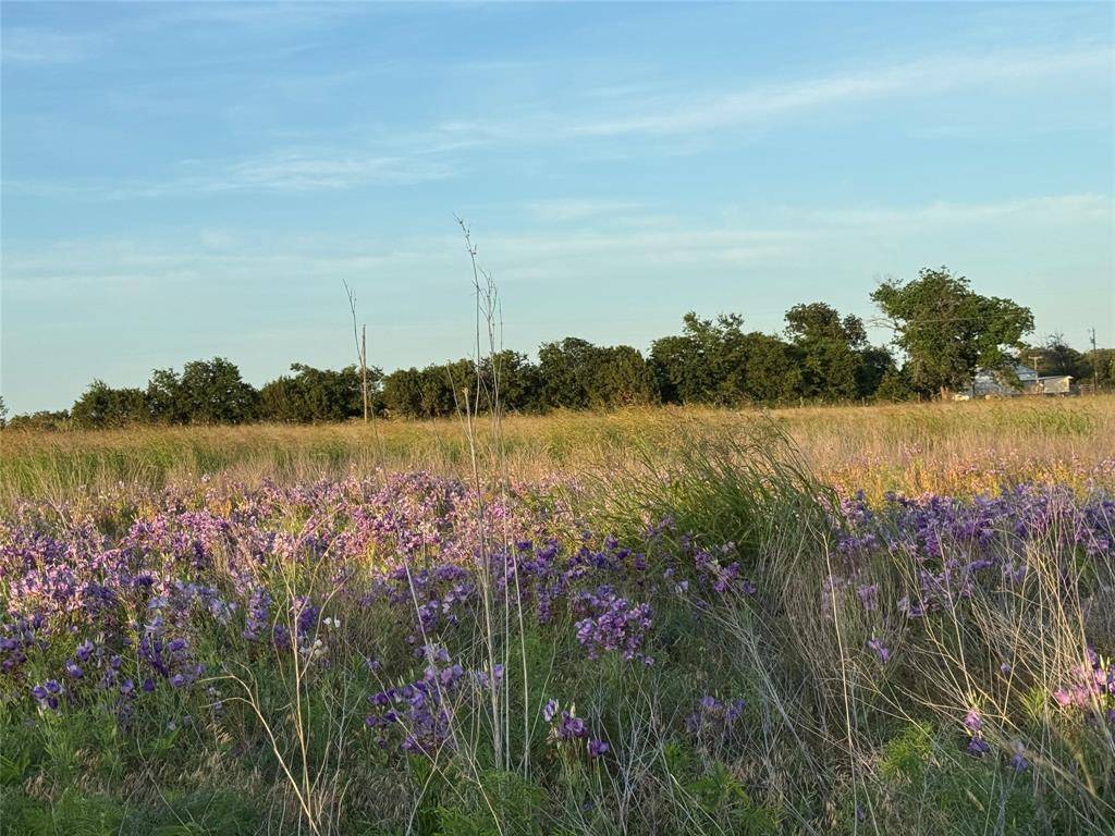 Meridian, TX 76665,TBD 4120