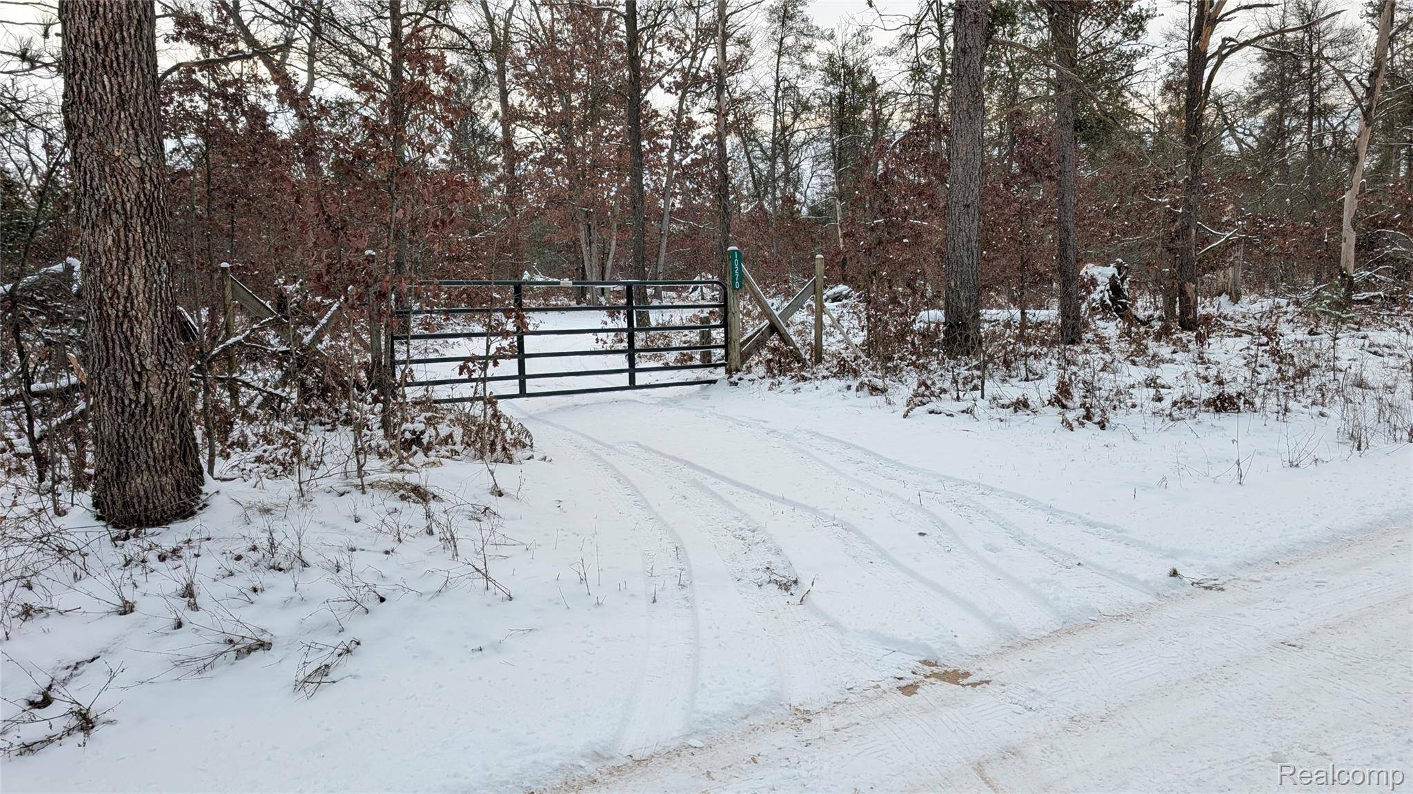 Chase, MI 49623,10270 S Queens HWY