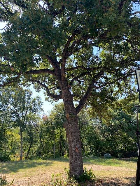 Fort Worth, TX 76111,1236 Kelpie Court