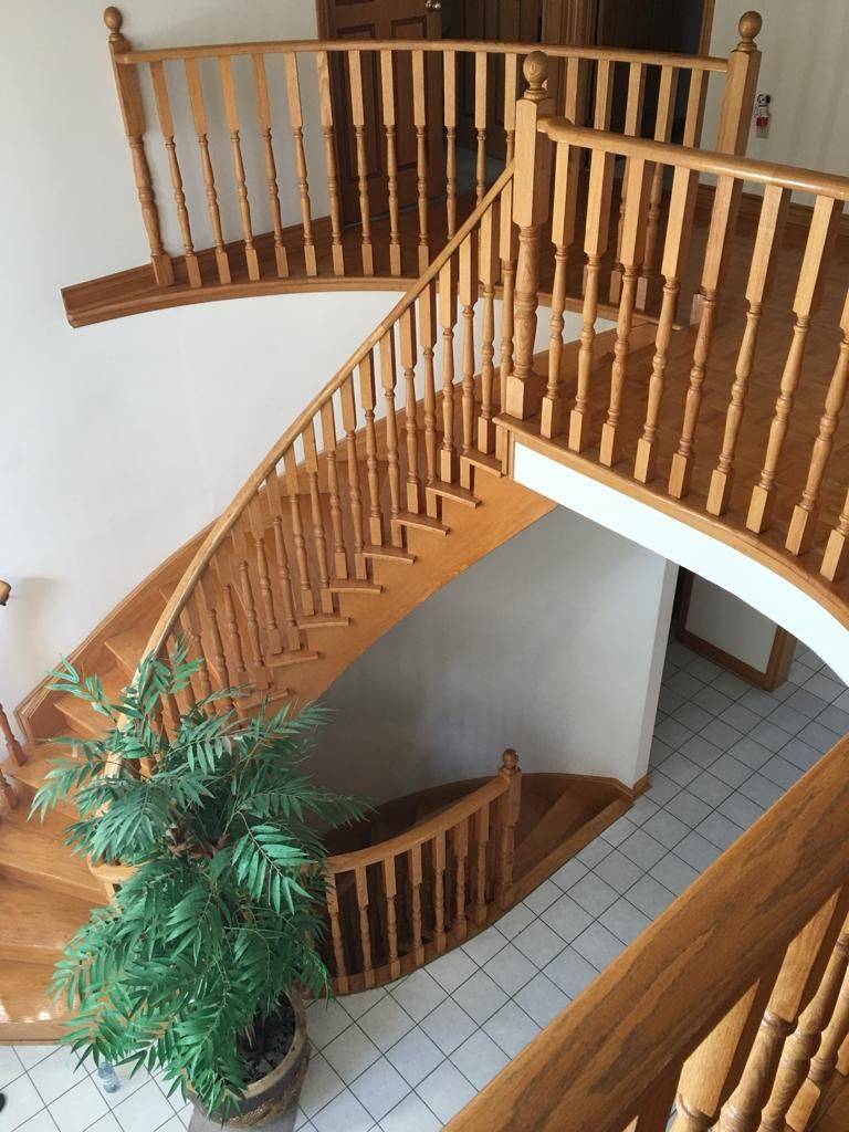 Toronto E10, ON M1C 4W8,81 Dalmatian CRES