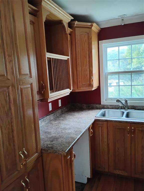 Seal Cove, White Bay, NL A0K5E0,33A Newtown Road