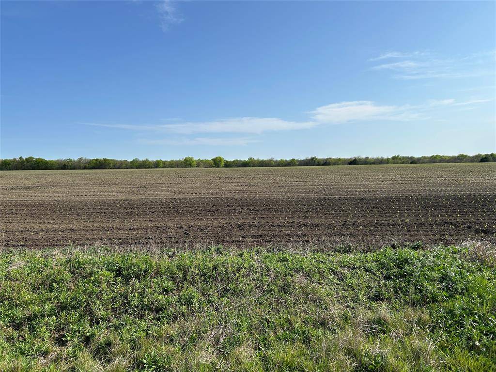 Celina, TX 75009,TBD Lot 12.1 Mark Alexander Court