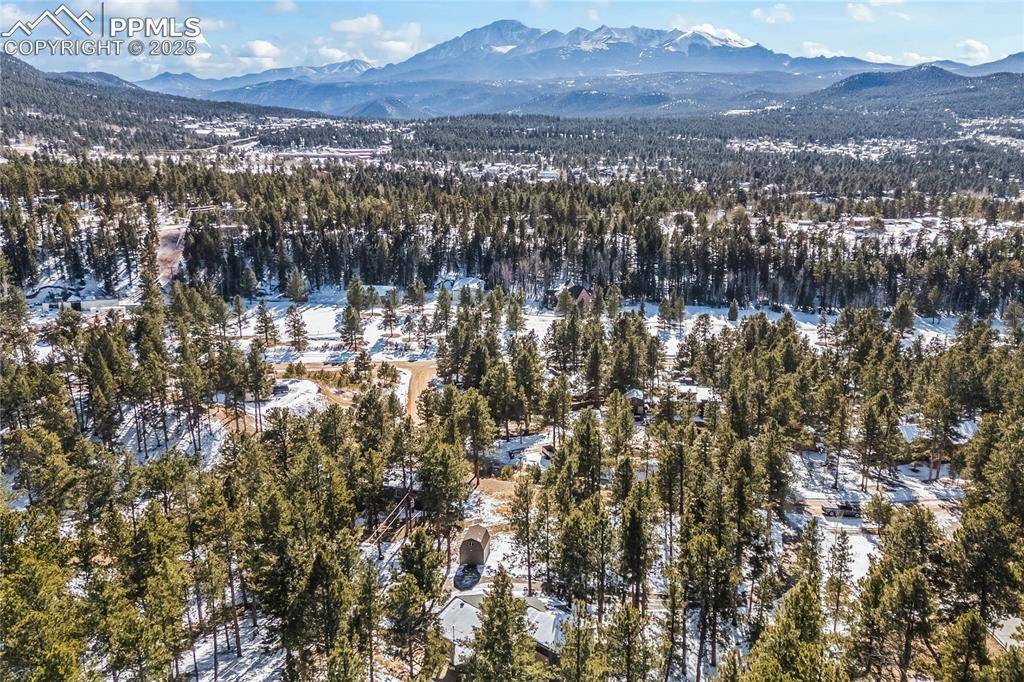 Woodland Park, CO 80863,192 Ridge DR