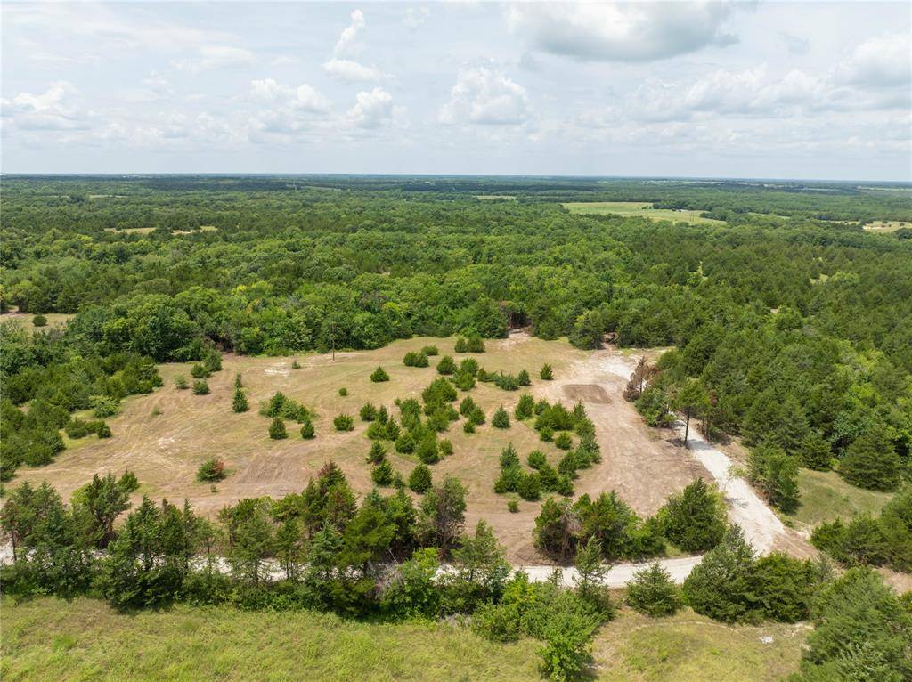 Honey Grove, TX 75446,TBD Tract 6 CR 2997