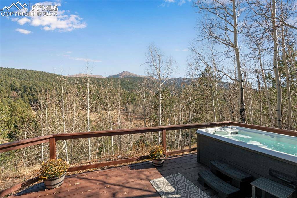 Divide, CO 80814,20 Spur RD