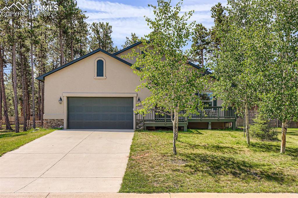 Woodland Park, CO 80863,1163 Ptarmigan DR